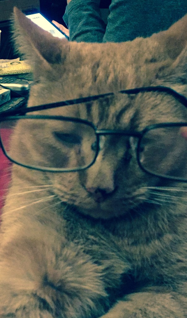 I hate it when he steals my reading glasses.