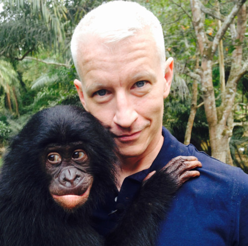 A gray-haired bonobo with his good friend who moderated last night's debate.